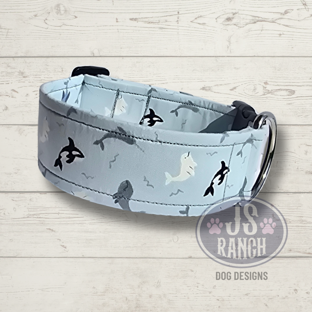 Whale Watching - Collar