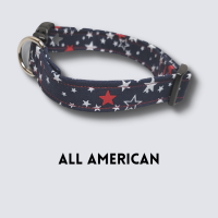 All American - Collar